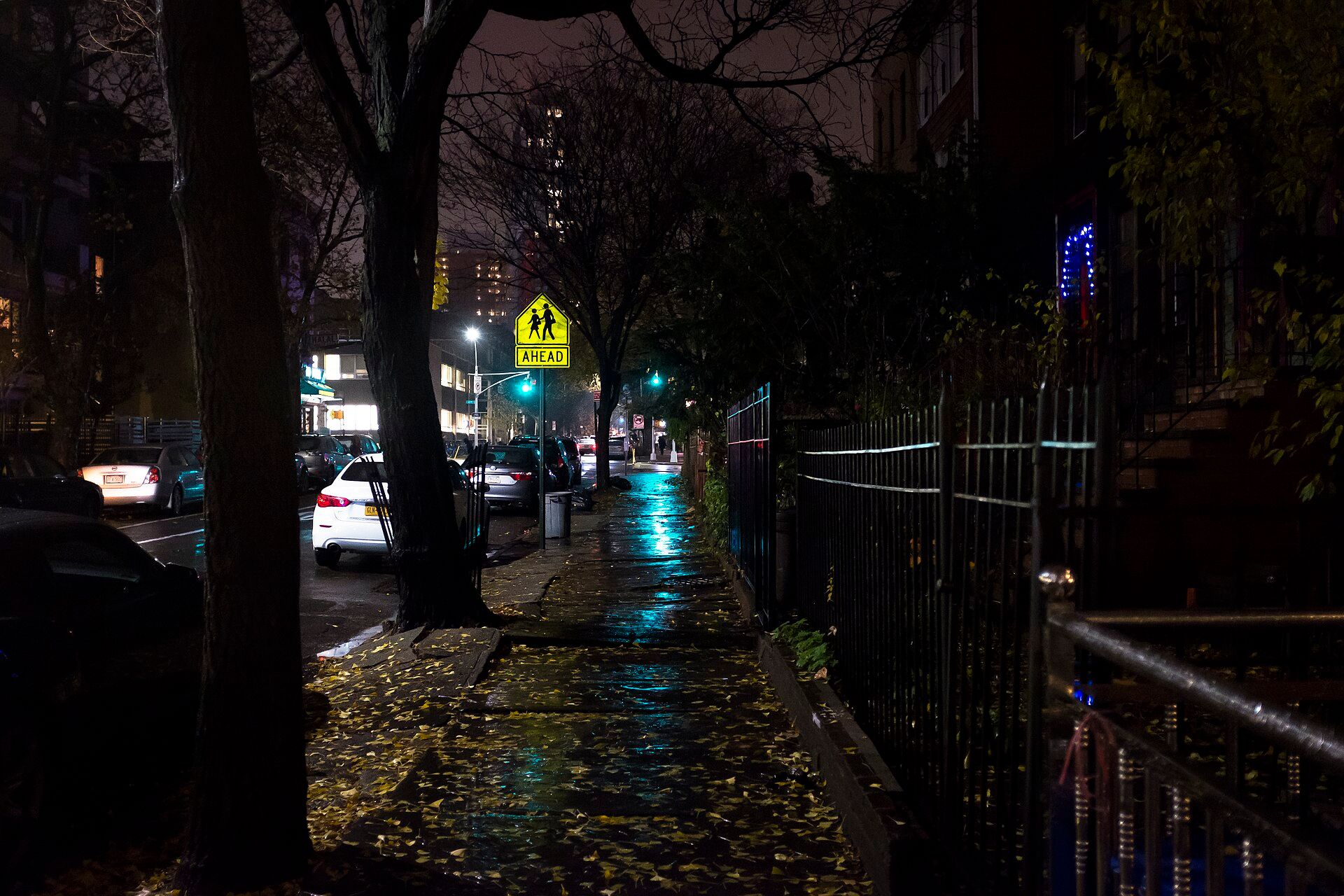 A rain slick city sidewalk at night scattered with fallen yellow leaves beside an iron fence and parked cars, for a theme in the writing of Richard Joseph Spinelli