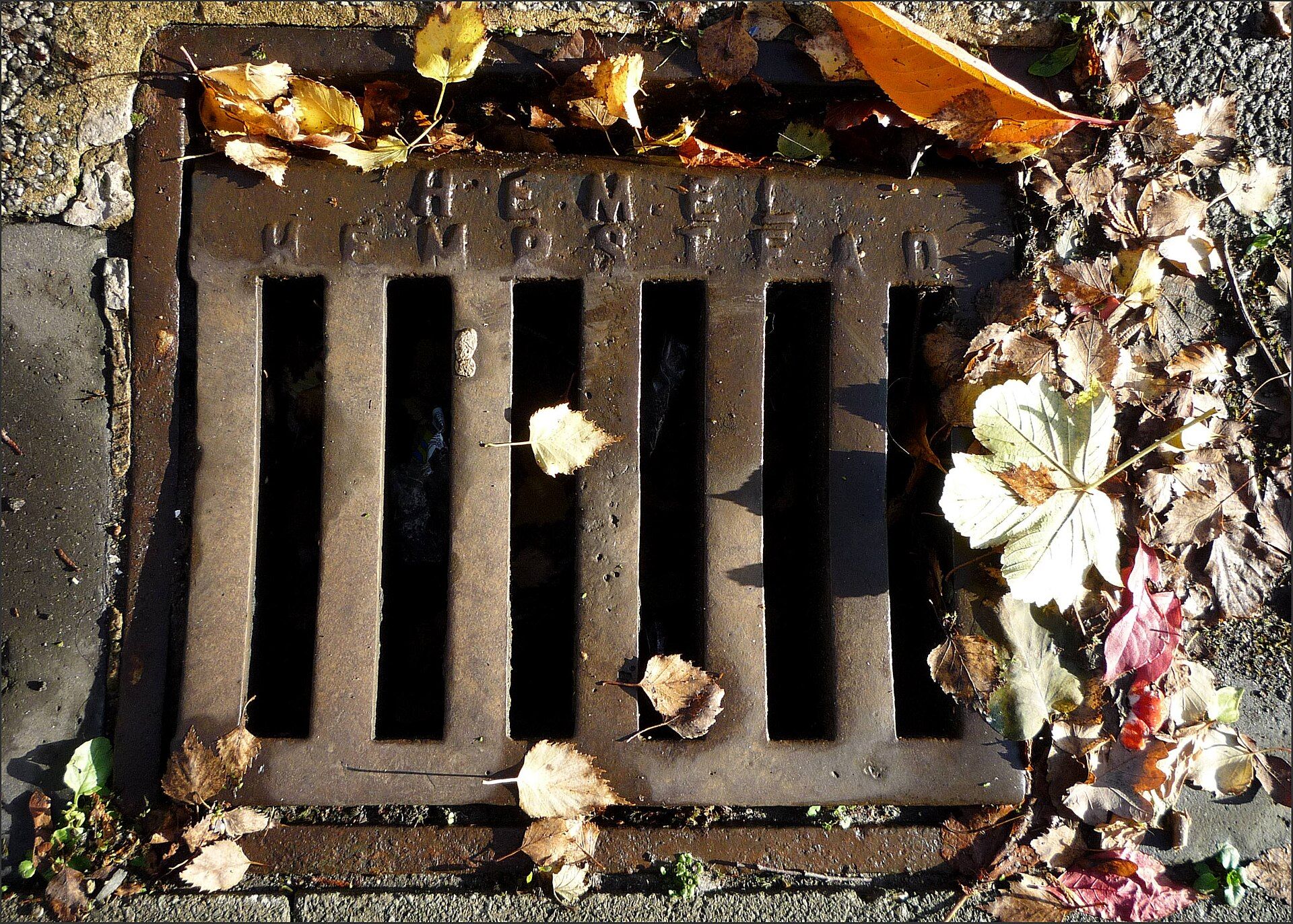 A cast iron street drain grate half covered in fallen autumn leaves, the hero for the Blogger channel of Richard Joseph Spinelli